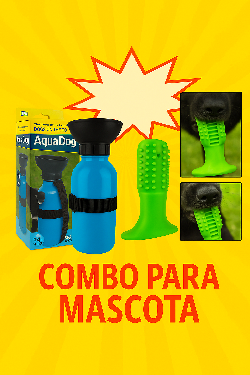 Combo Cepillo QuitaSarro + Bebedero perr