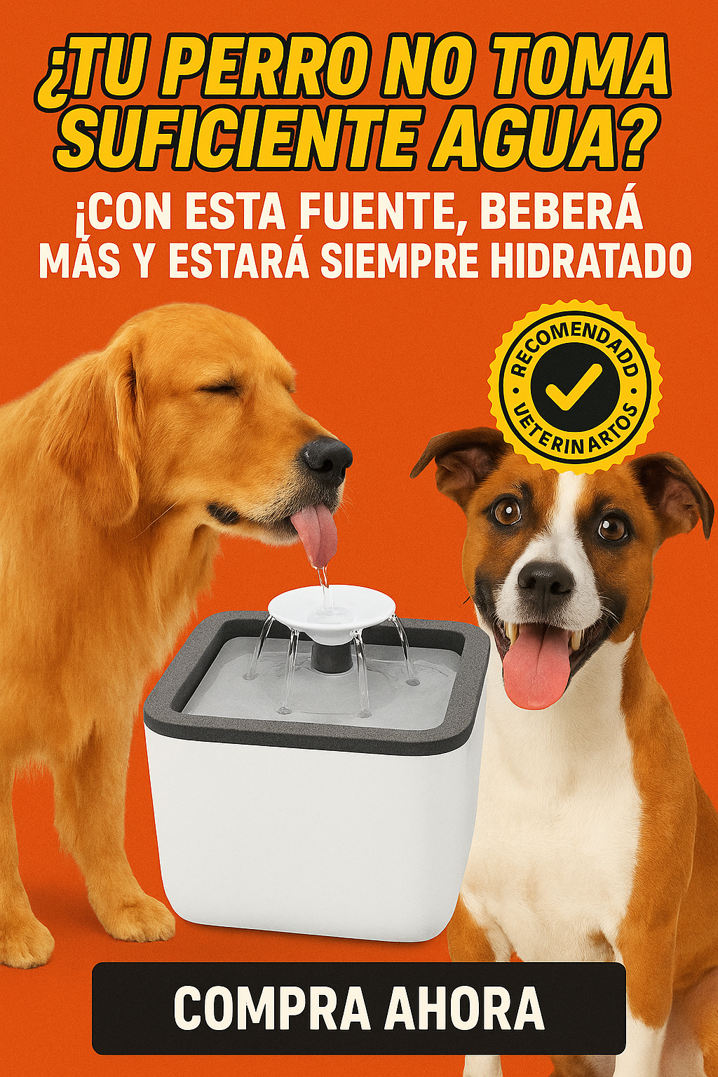 Fuente Dispensador Agua Mascotas